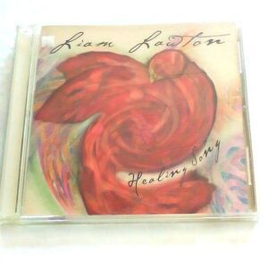 Liam Lawton Healing Song CD Celtic Christian Spiritual Music Album Relaxation